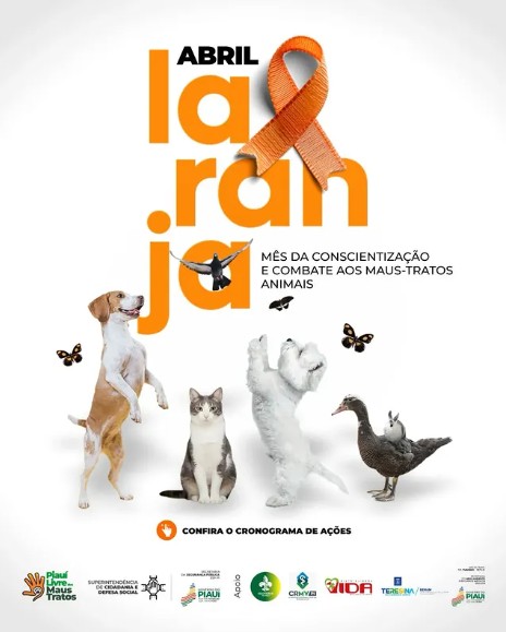 campanha abril laranja